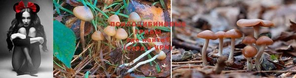 соль курить ск Вязники