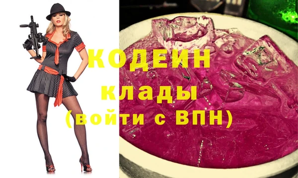 гидра Карпинск