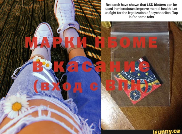 сатива Вязьма
