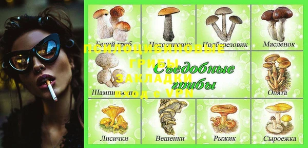 амф Алексеевка