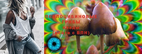 соль ск Вяземский