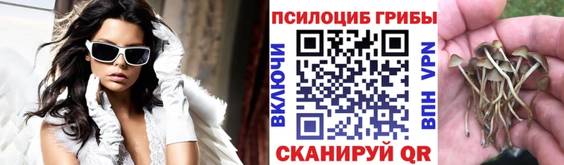 Псилоцибиновые грибы мицелий  как найти закладки  Харовск 